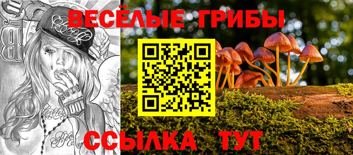 Псилоцибиновые грибы Psilocybine cubensis  Галлюциногенные грибы Psilocybine cubensis  Заволжье  Вход с VPN 